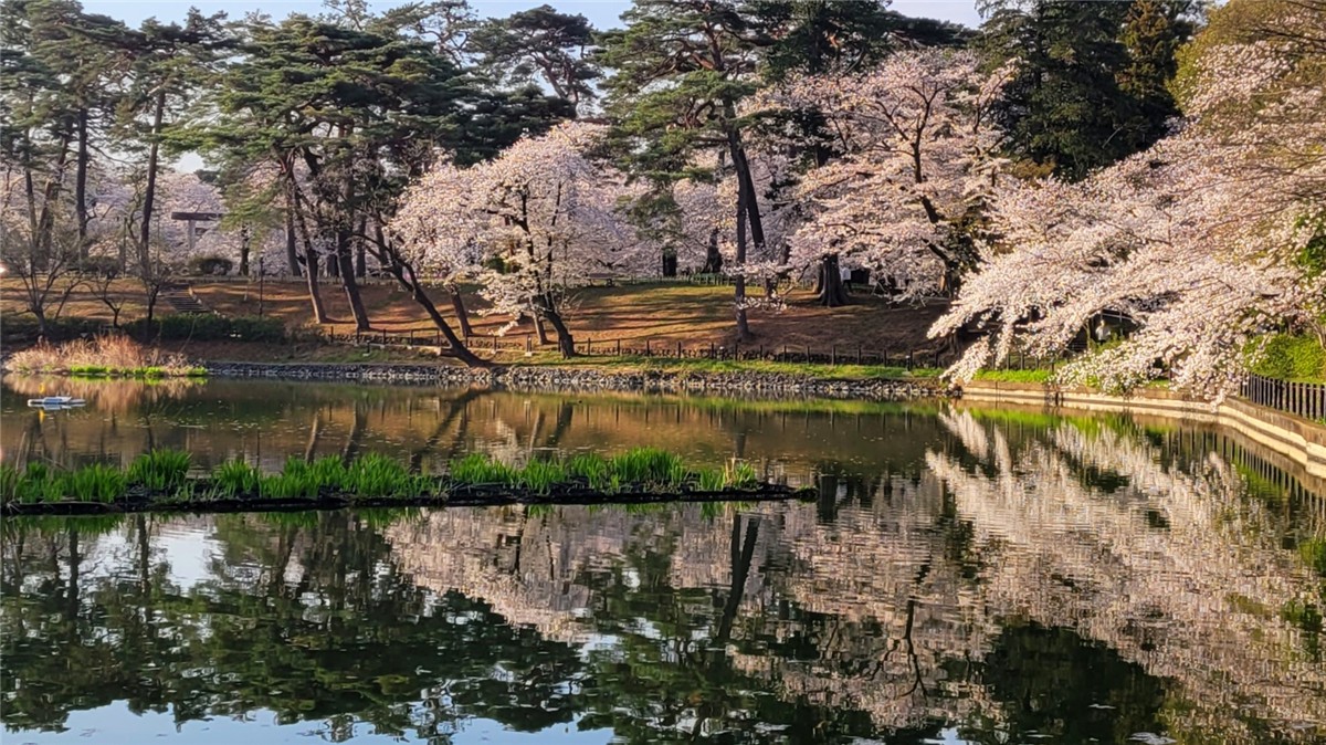 大宮公園