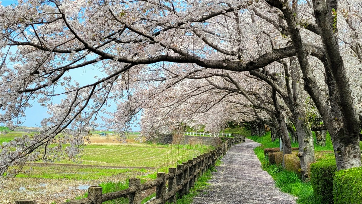乙女かわらの里公園