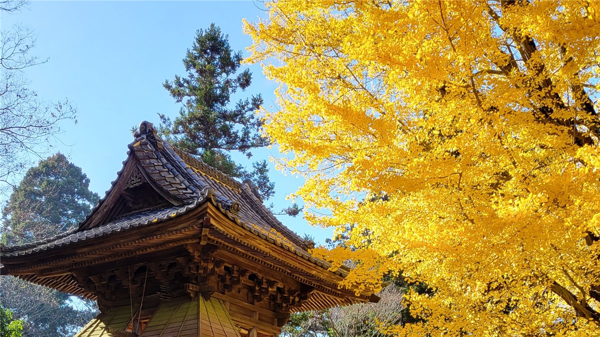 西蓮寺