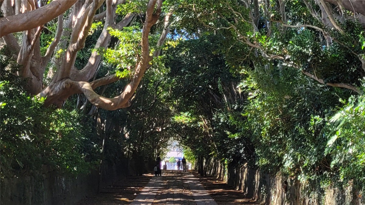 酒列磯前神社