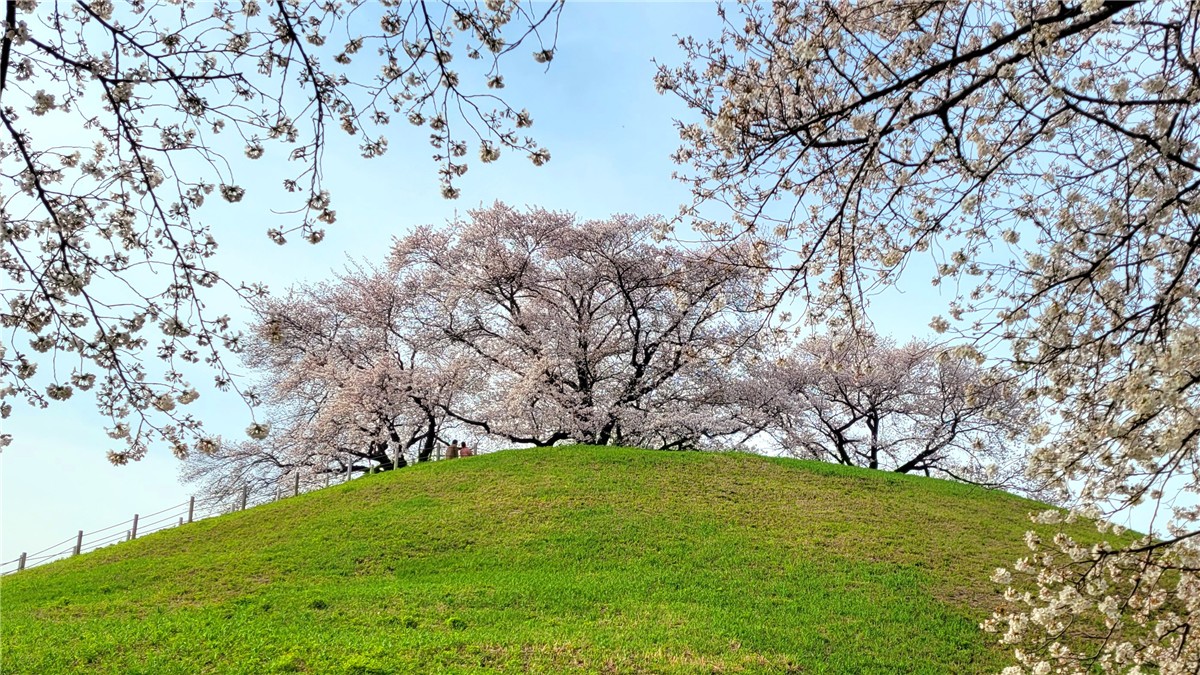さきたま古墳公園
