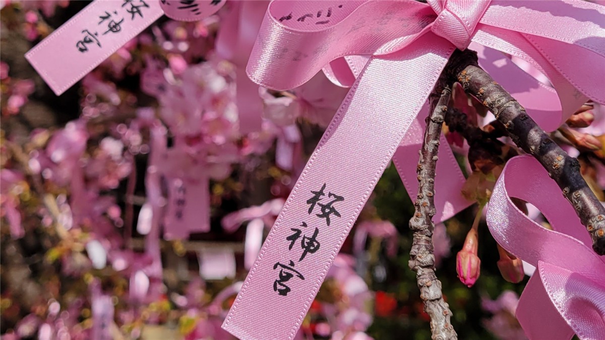 古式神道-桜神宮