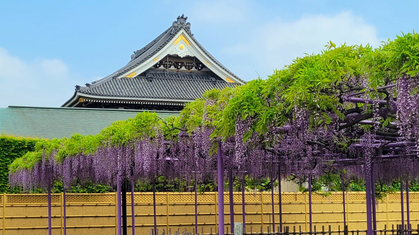 三学院