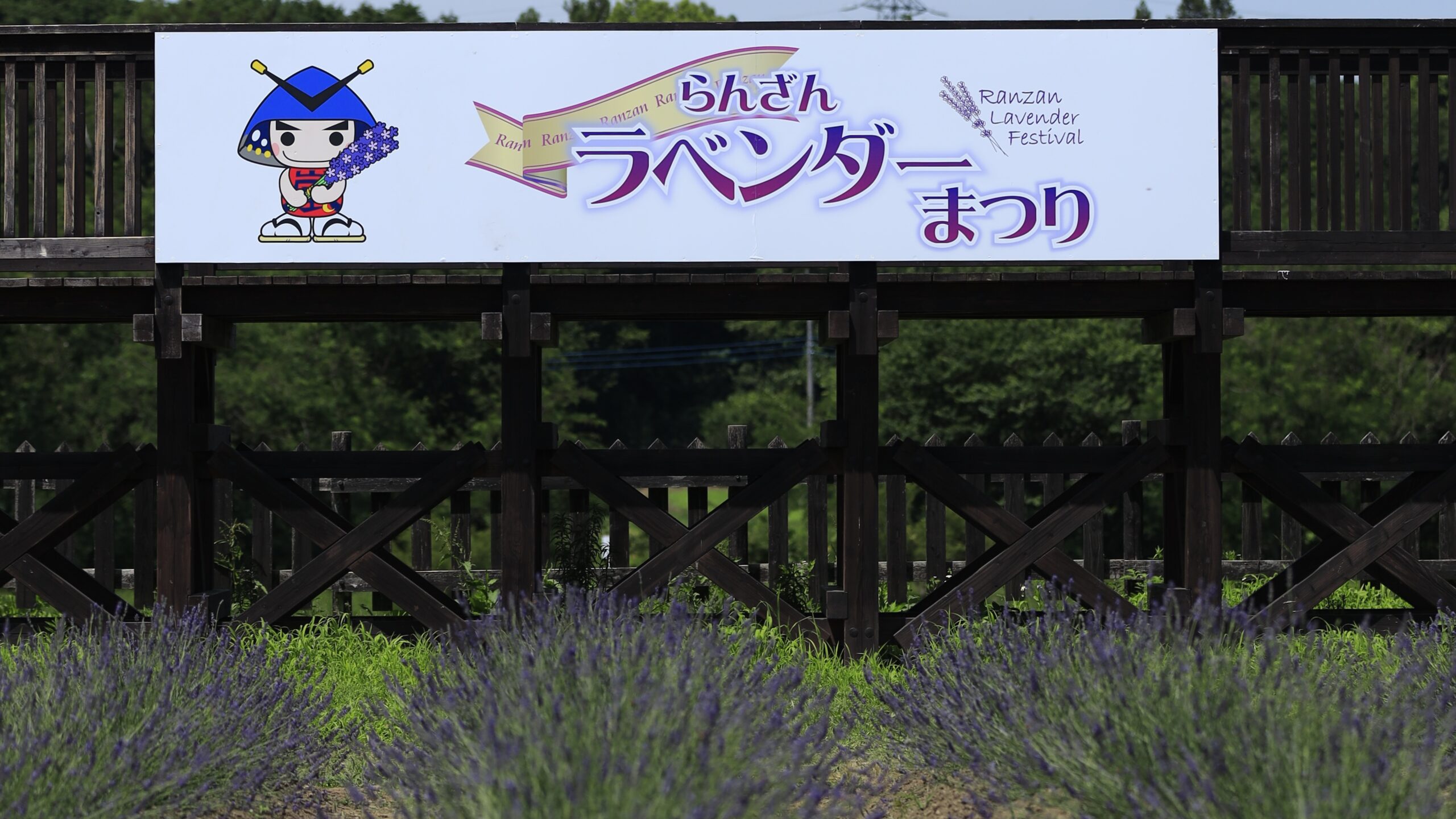 千年の苑ラベンダー園