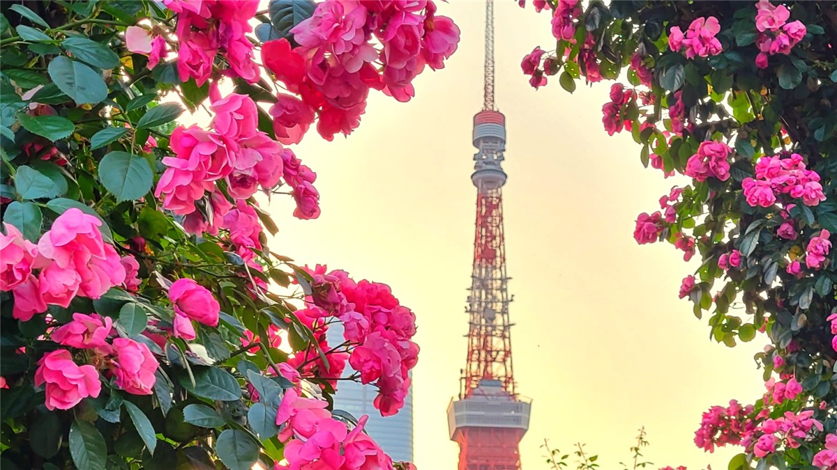 芝公園