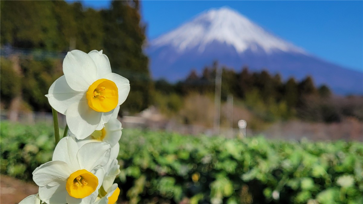静岡県の人気・撮影スポット