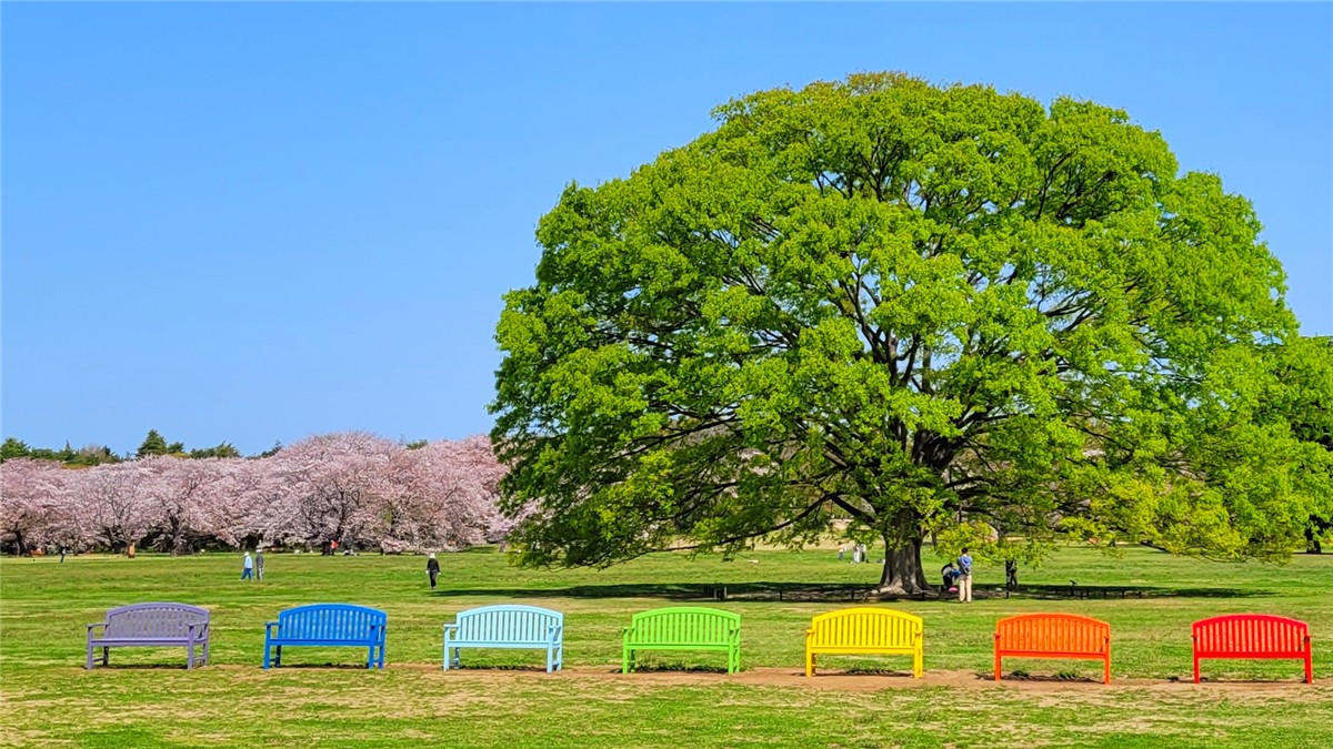 国営昭和記念公園