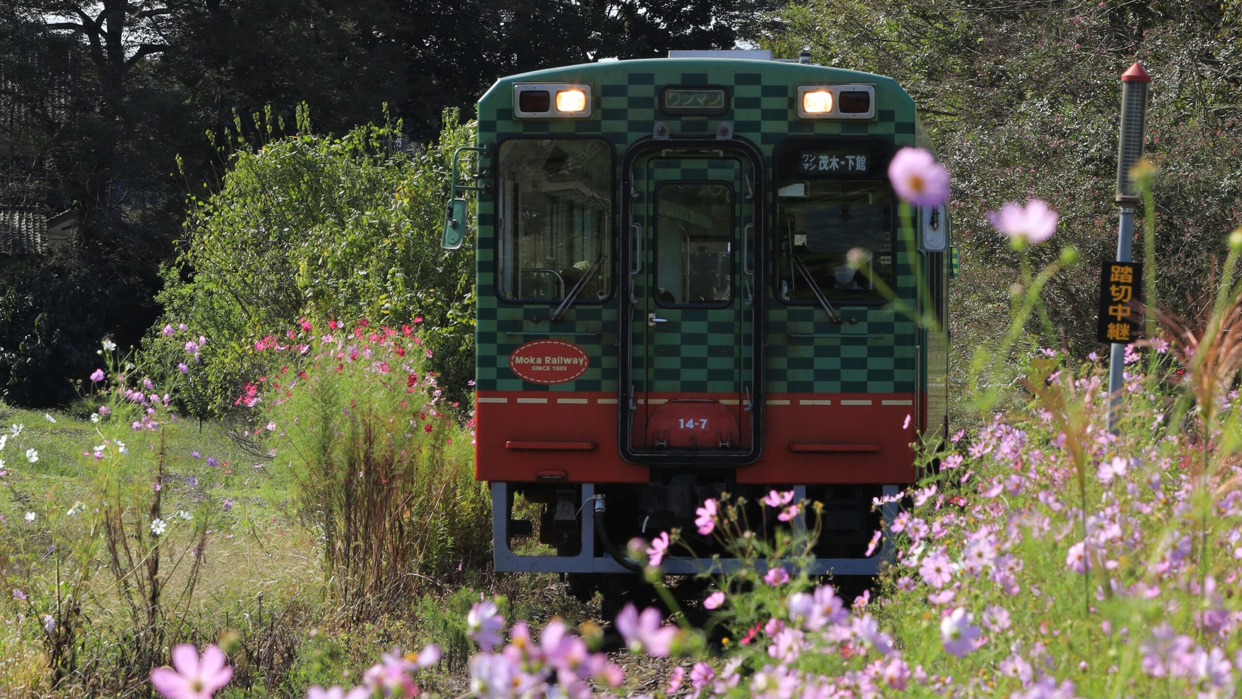 多田羅駅（真岡鉄道）