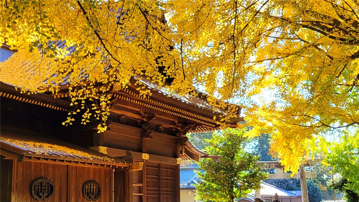 玉敷神社
