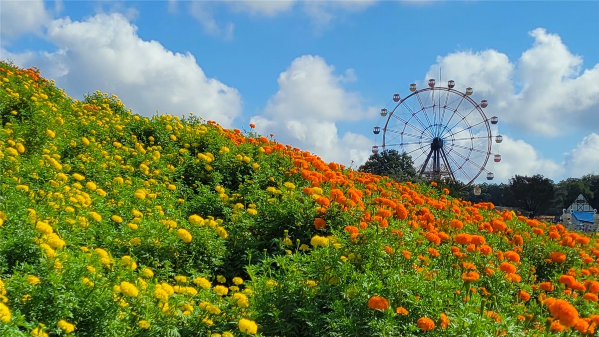 東京ドイツ村