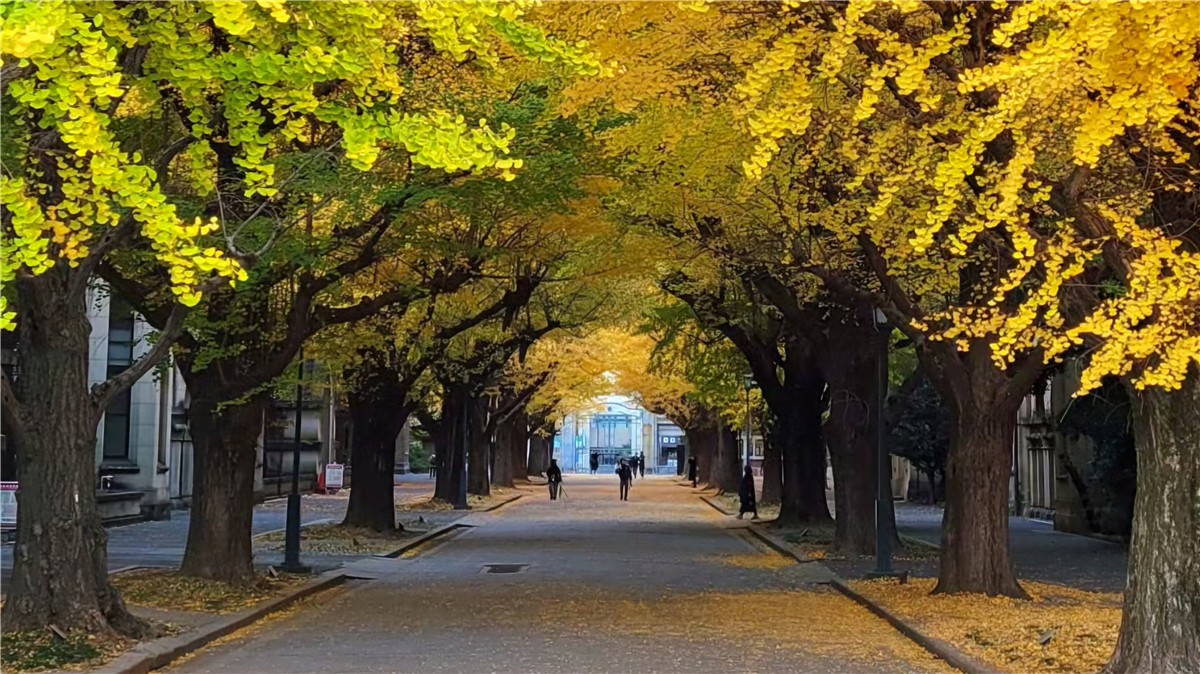 東京大学本郷キャンパス