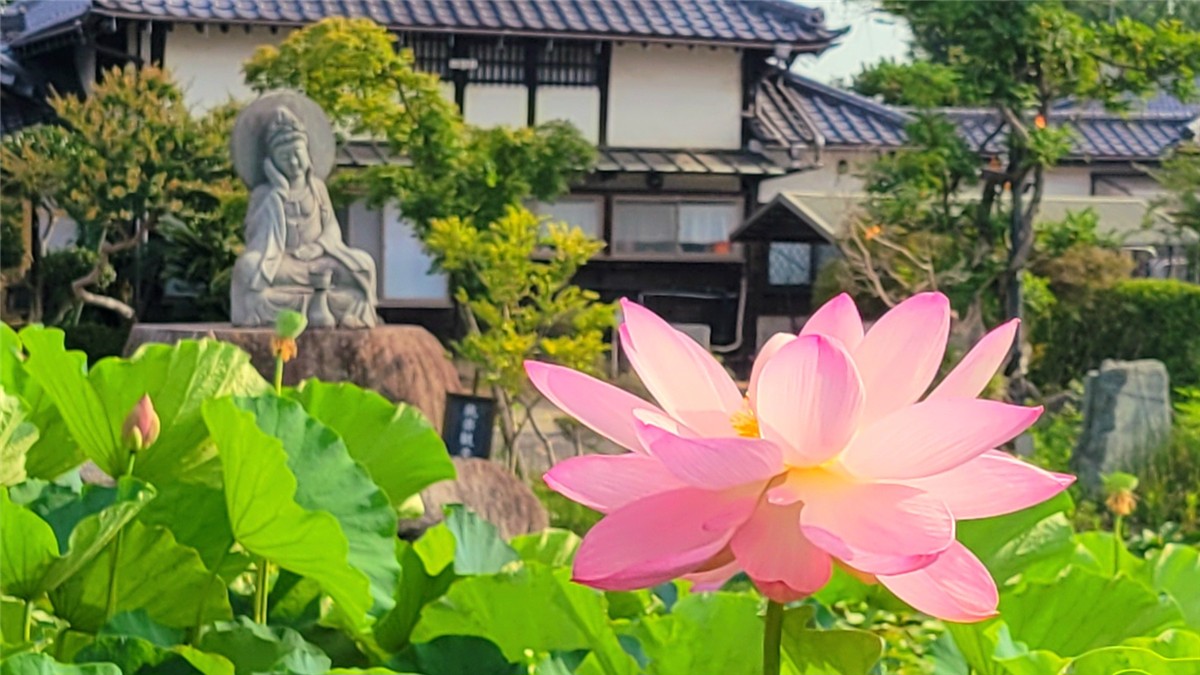 善長寺